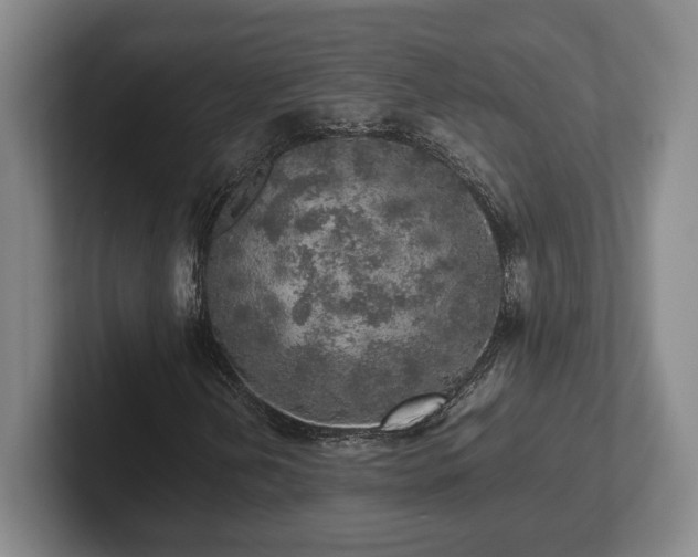 X0000102521202200808151525