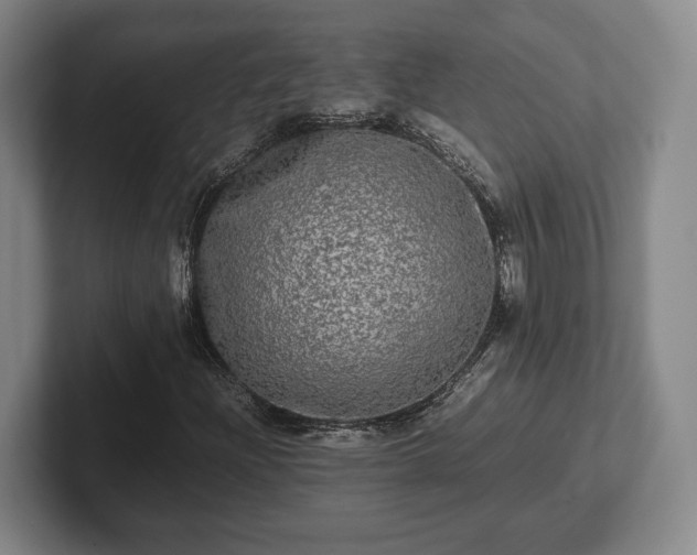 X0000102521204200808151525