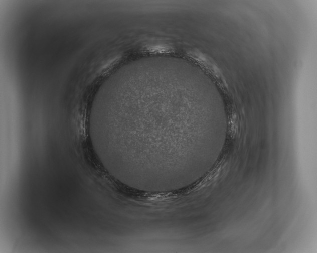 X0000102521205200808151525