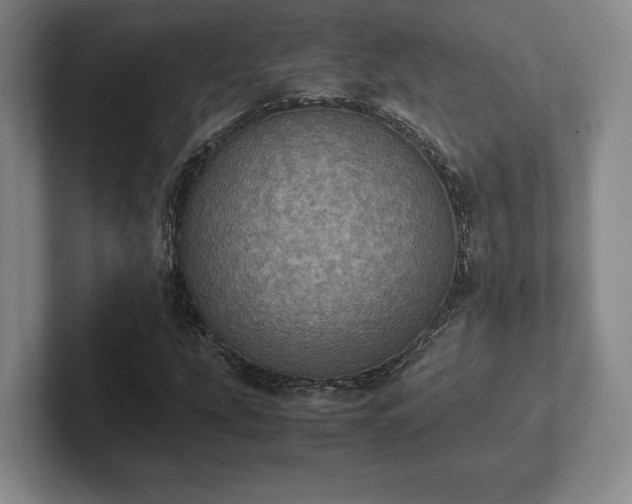 X0000102521207200808151525