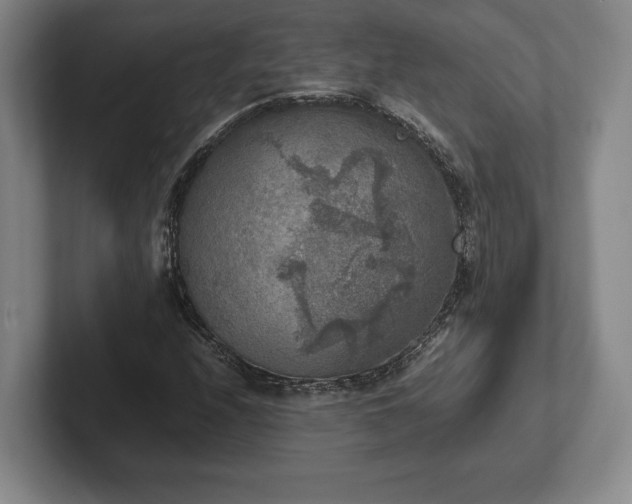 X0000102521208200808151525