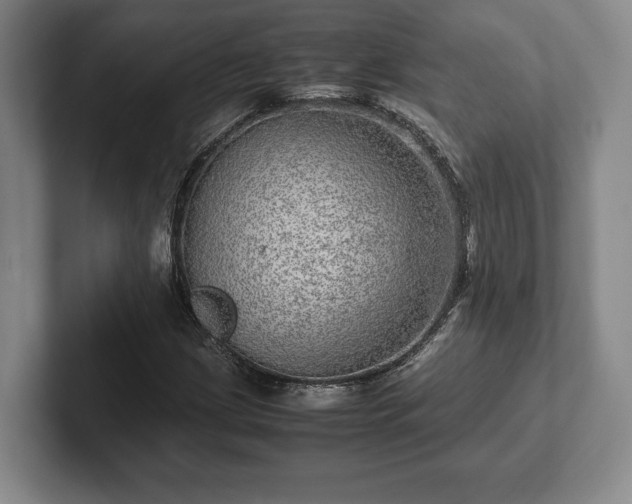 X0000102521209200808151525