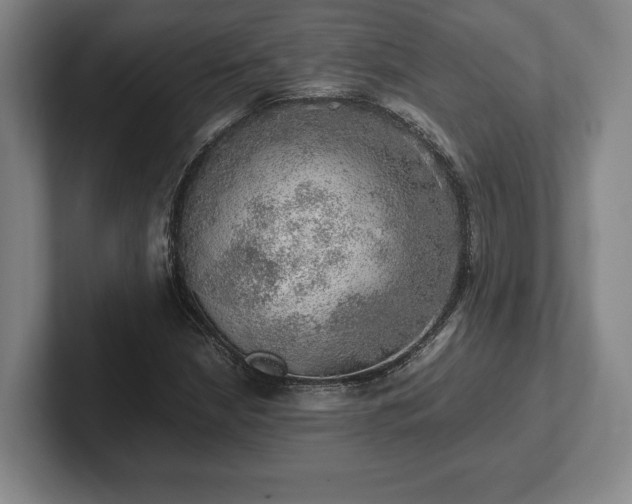 X0000102521210200808151525