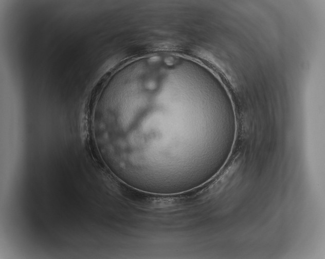 X0000102521211200808151525