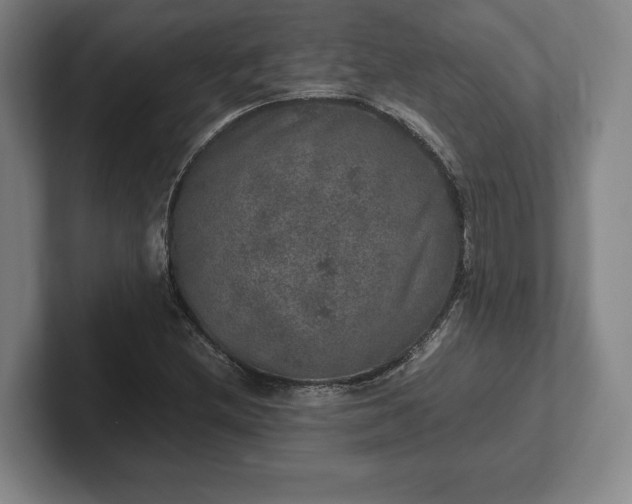 X0000102521212200808151525