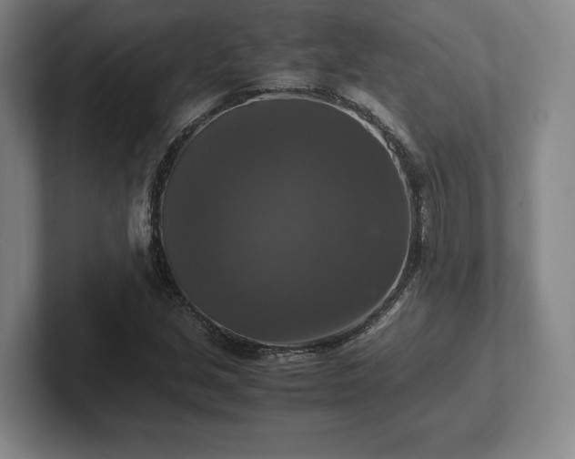 X0000102521213200808151525