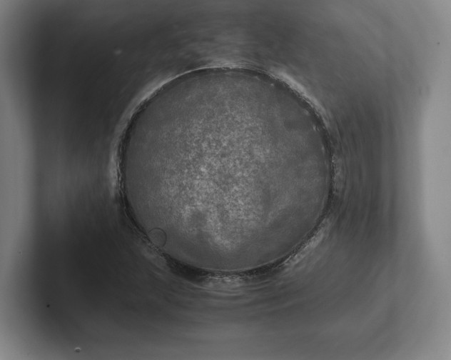 X0000102521215200808151525