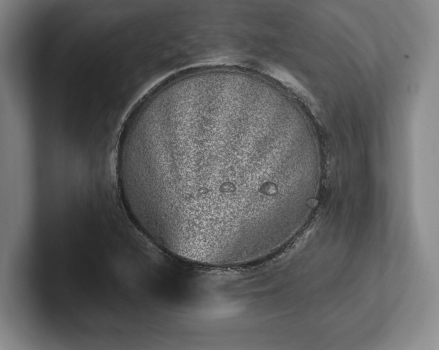 X0000102521216200808151525