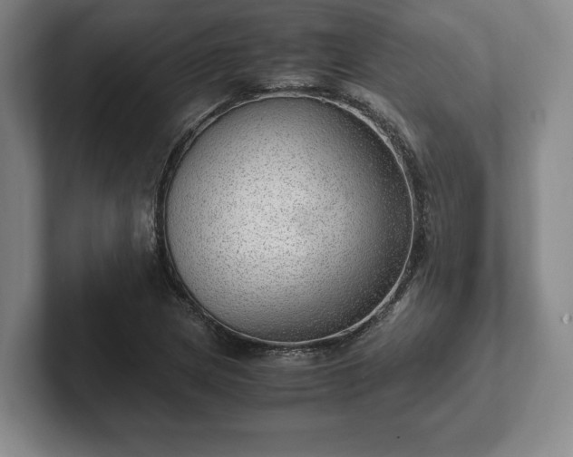 X0000102521217200808151525