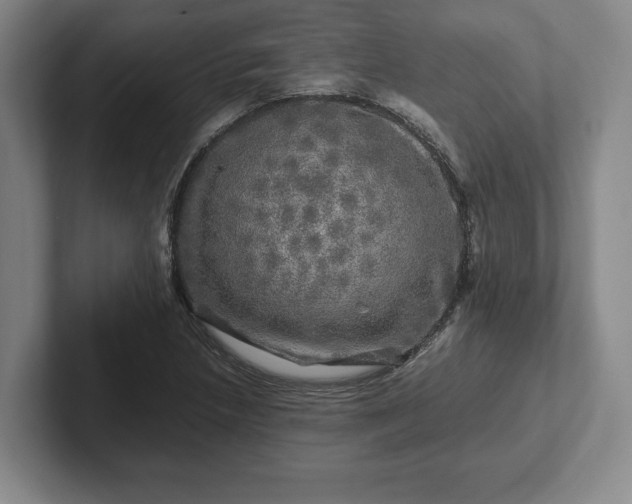 X0000102521218200808151525