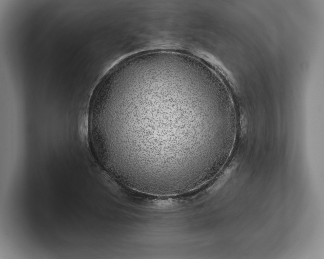 X0000102521220200808151525