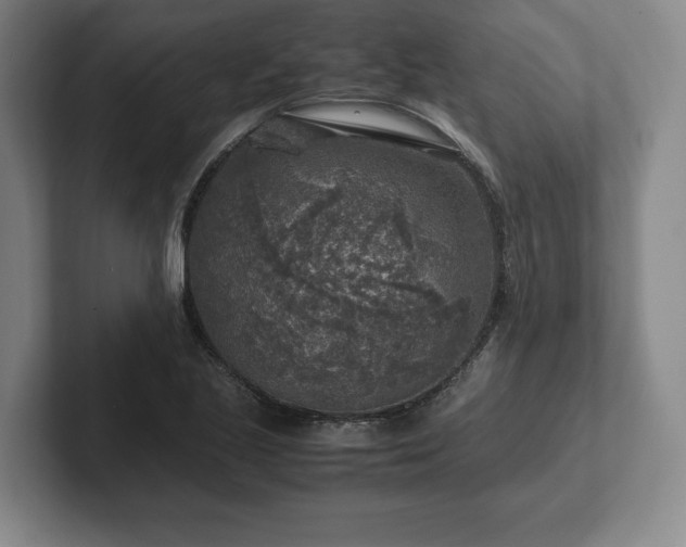 X0000102521221200808151525