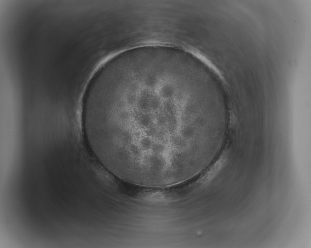 X0000102521222200808151525