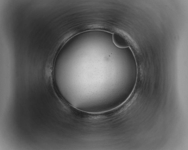 X0000102521225200808151525