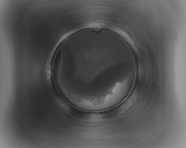 X0000102521226200808151525