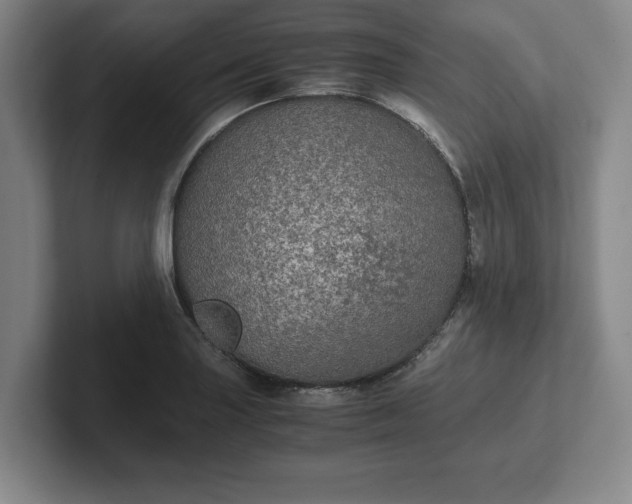 X0000102521227200808151525