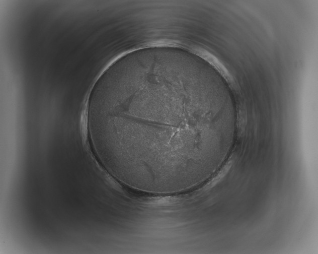 X0000102521228200808151525