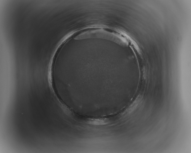 X0000102521229200808151526