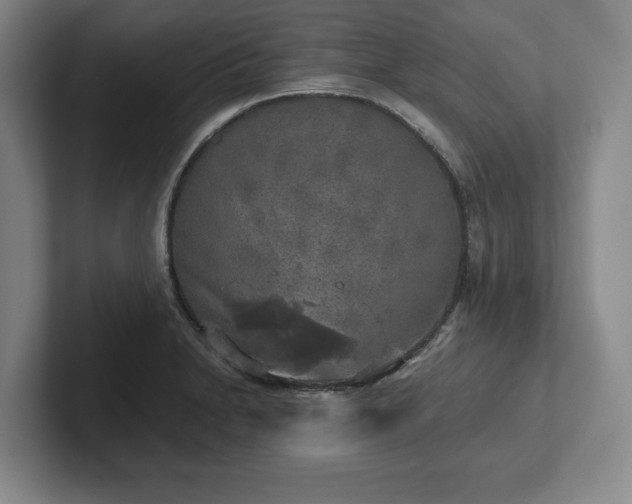 X0000102521230200808151526