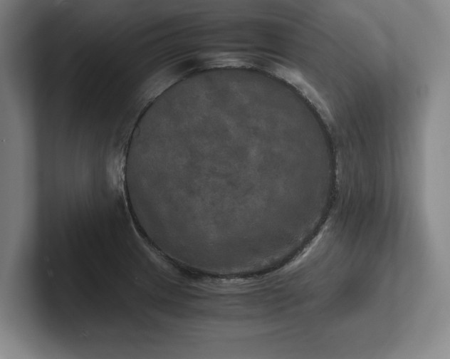 X0000102521233200808151526