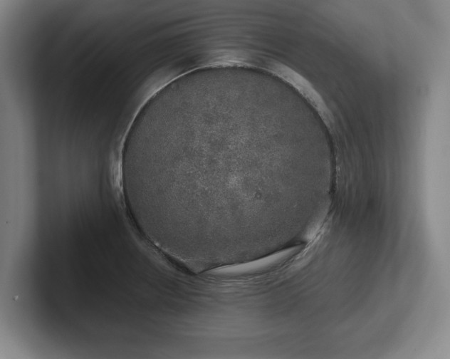 X0000102521234200808151526