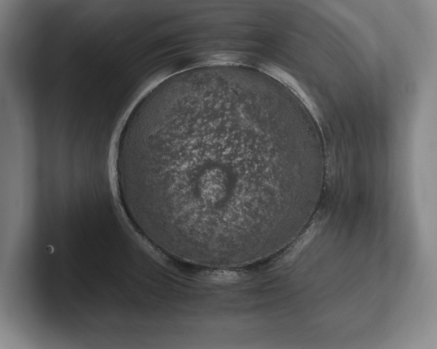 X0000102521235200808151526