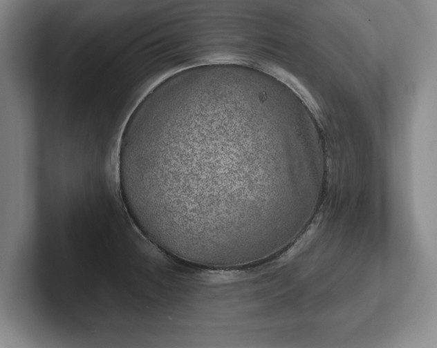 X0000102521236200808151526