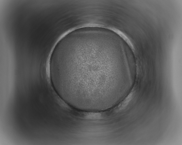 X0000102521238200808151526