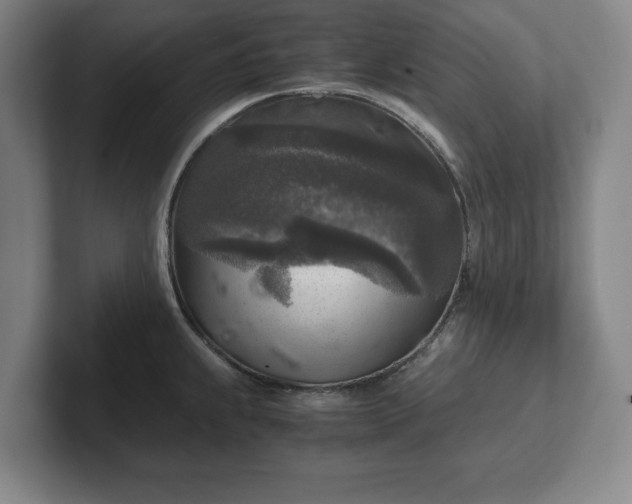 X0000102521239200808151526