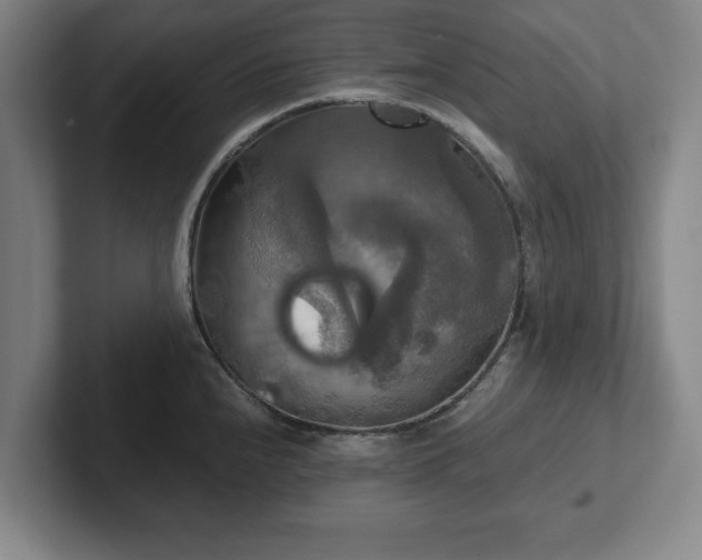 X0000102521240200808151526