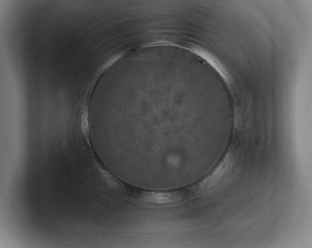 X0000102521241200808151526