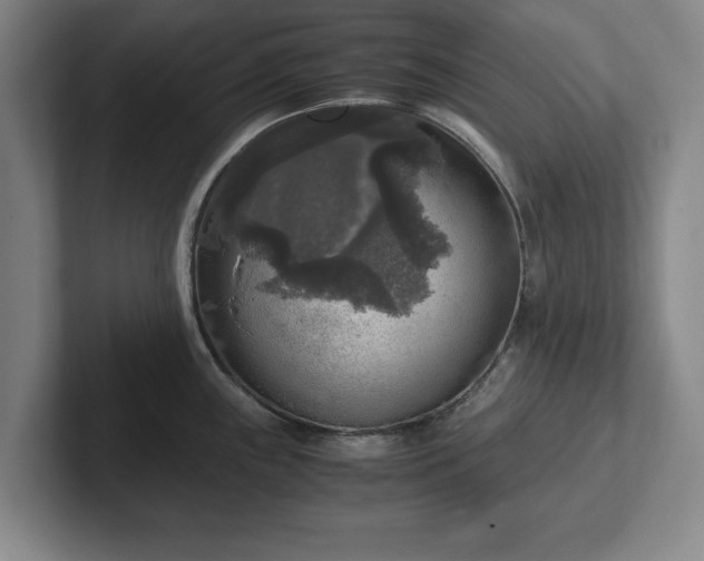 X0000102521243200808151526