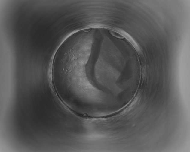 X0000102521244200808151526