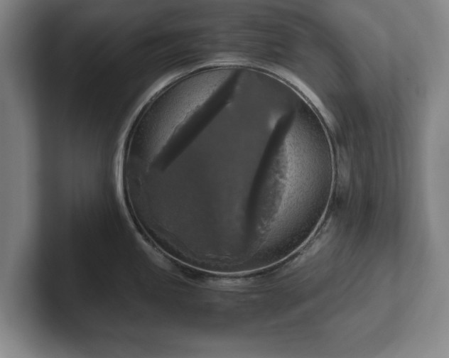 X0000102521245200808151526