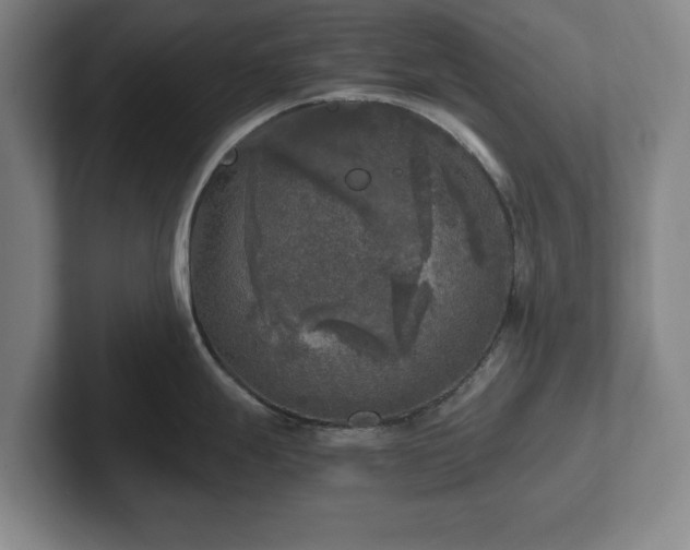 X0000102521247200808151526