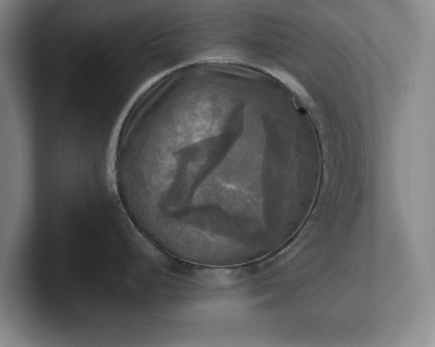 X0000102521248200808151526