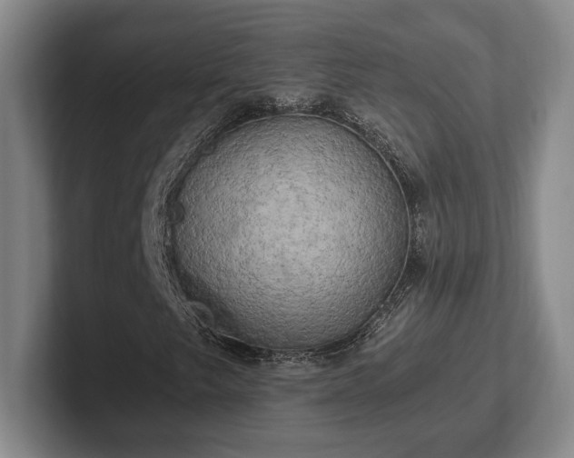 X0000102521249200808151525