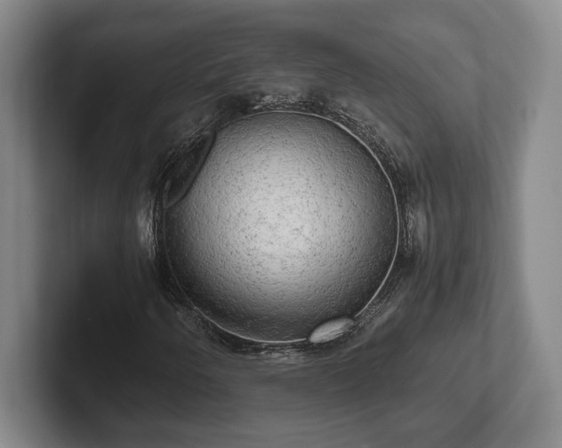 X0000102521250200808151525