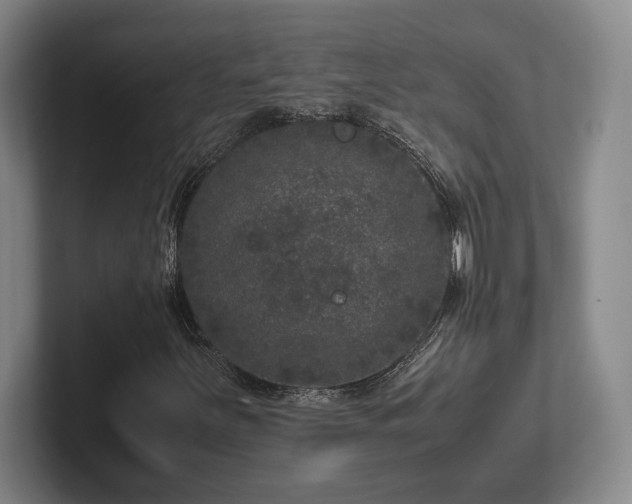 X0000102521251200808151525