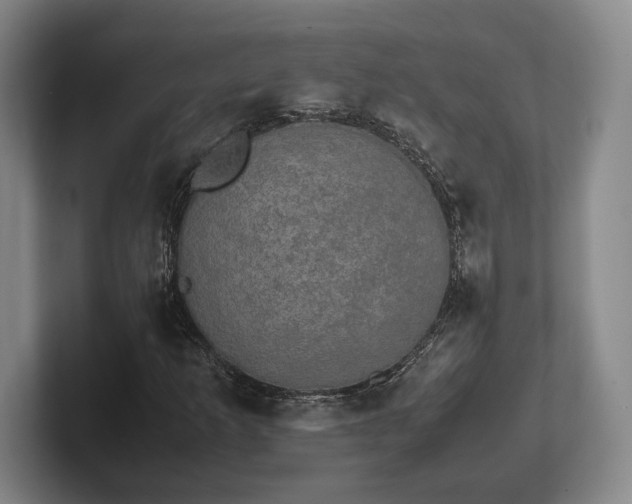 X0000102521253200808151525