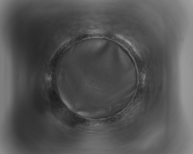 X0000102521254200808151525