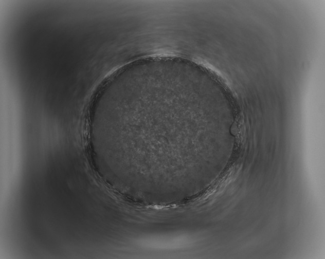 X0000102521255200808151525