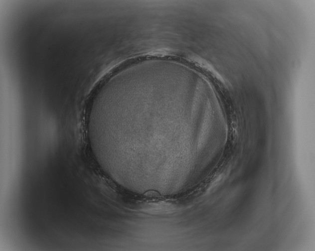 X0000102521256200808151525