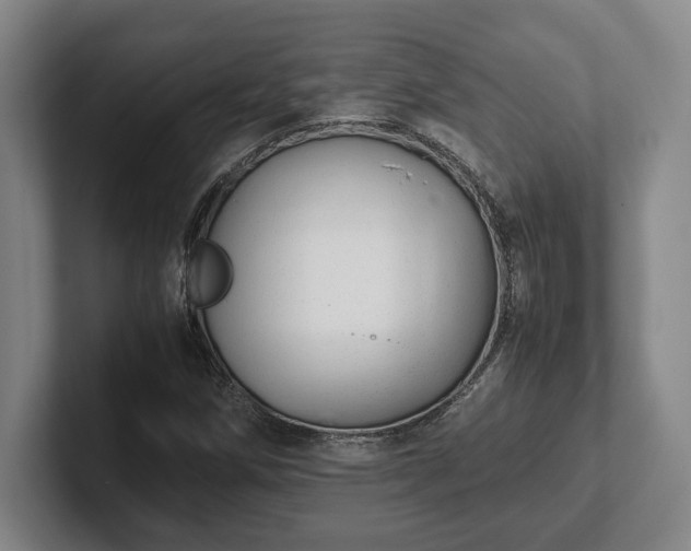 X0000102521258200808151525