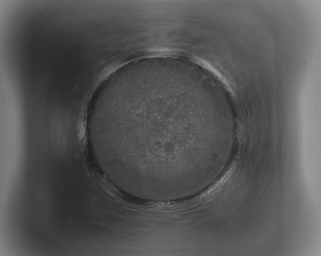 X0000102521259200808151525