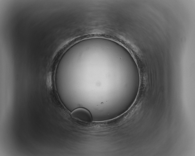 X0000102521262200808151525