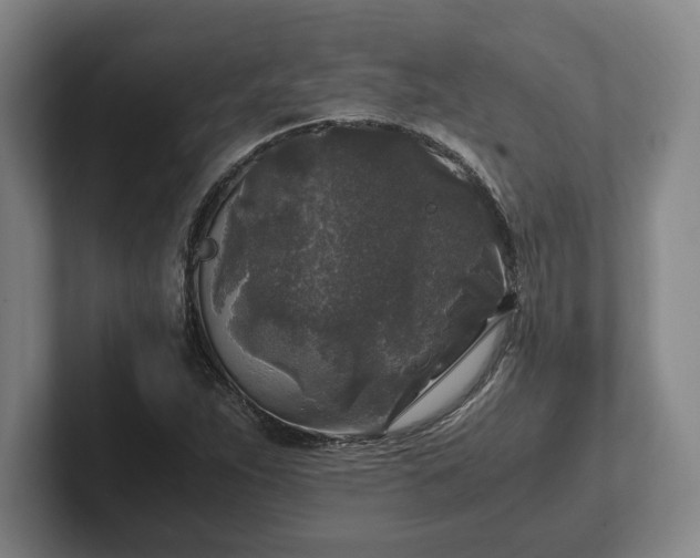 X0000102521263200808151525