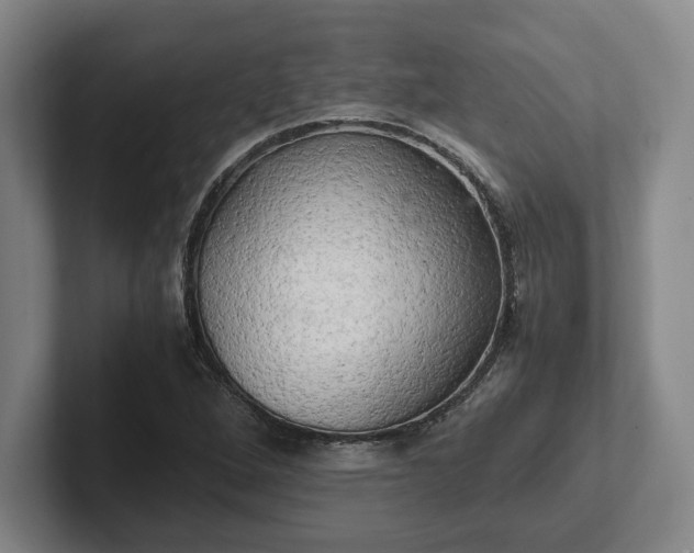 X0000102521264200808151525