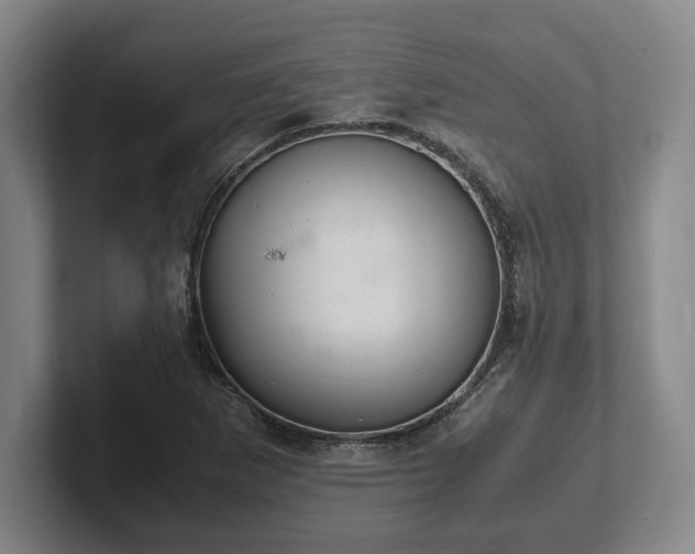 X0000102521265200808151525