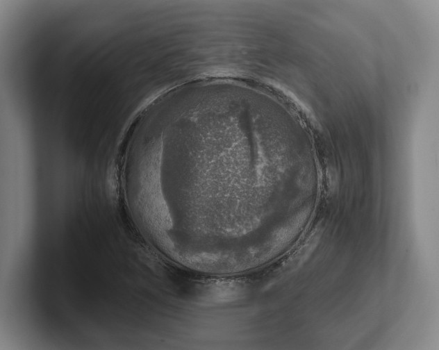 X0000102521266200808151525